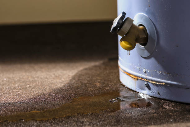 Professional Water damage restoration in Newport, MN