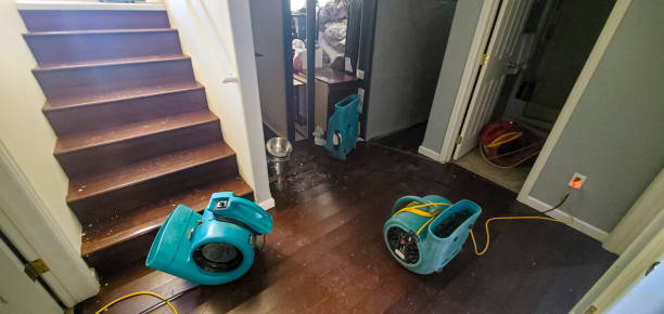 Best Water damage restoration company  in Newport, MN