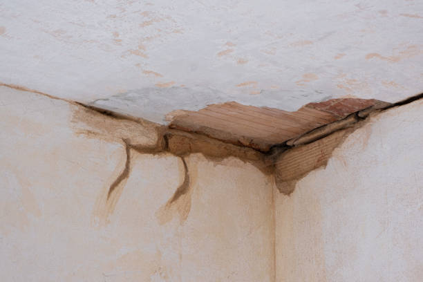  Newport, MN Water damage restoration Pros