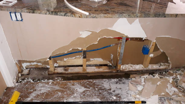 Best Emergency water damage restoration  in Newport, MN