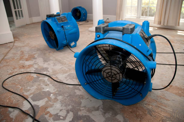 Local water damage restoration in Newport, MN