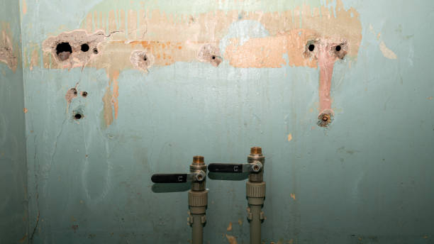 Best 24-hour water damage restoration  in Newport, MN
