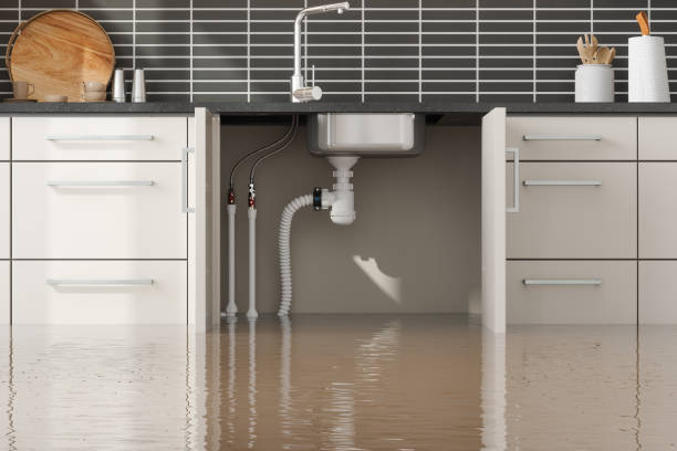 Best Water damage restoration process  in Newport, MN