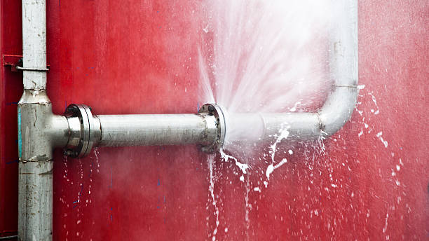 Best Water damage contractors near me  in Newport, MN