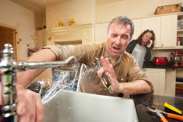 Best Residential water damage restoration  in Newport, MN